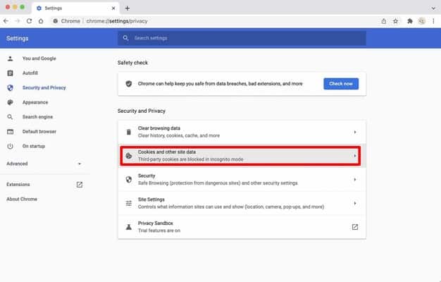 Chrome Security and Privacy settings