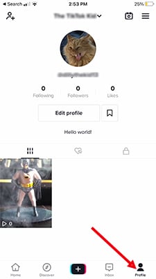 Here you’ll see your TikTok profile
