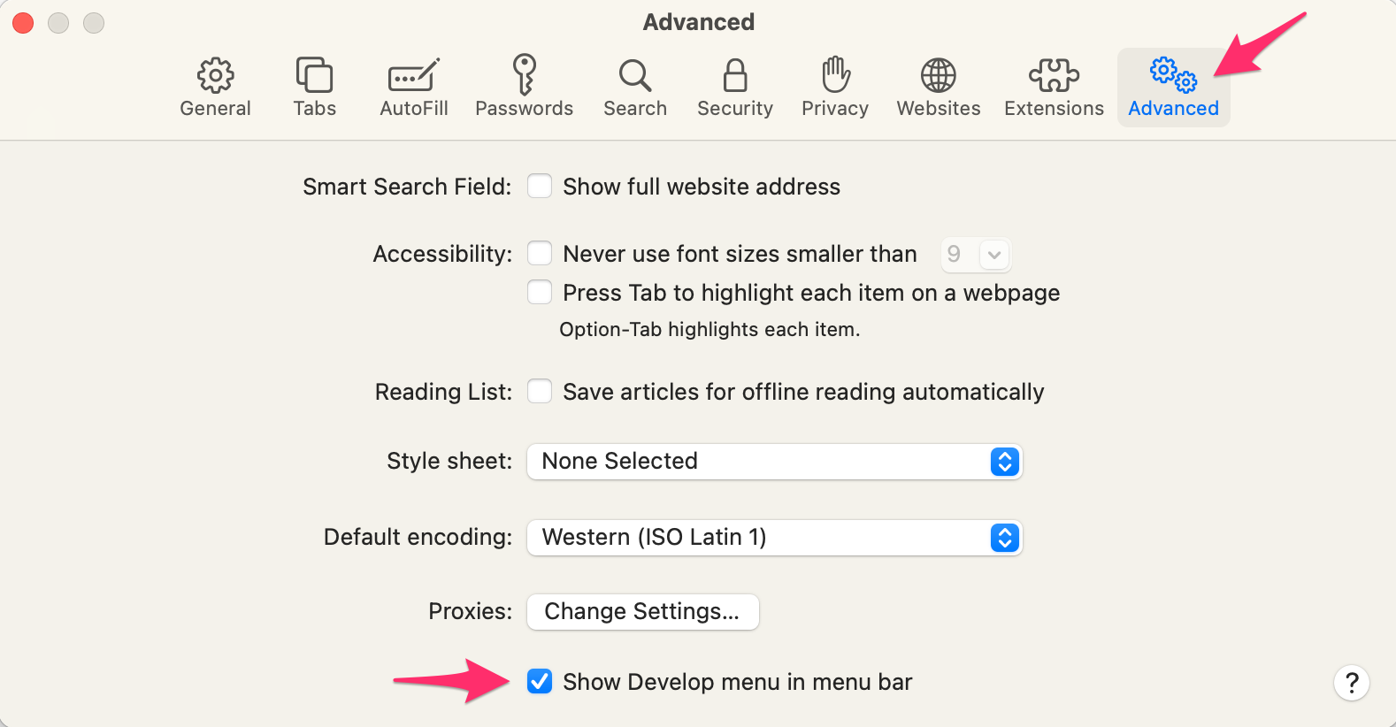 Select Show Develop menu in menu bar in the Advanced section
