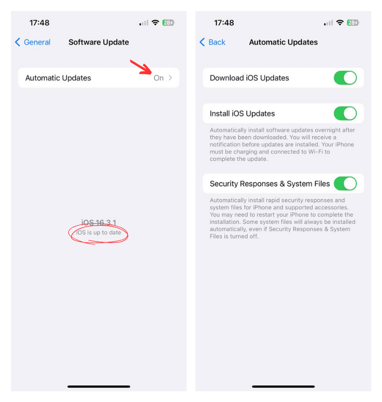 How to turn on automatic OS updates on iOS