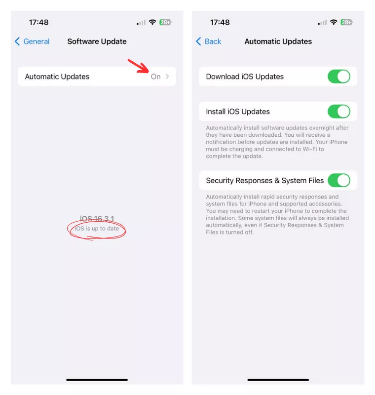 How to turn on automatic OS updates on iOS 