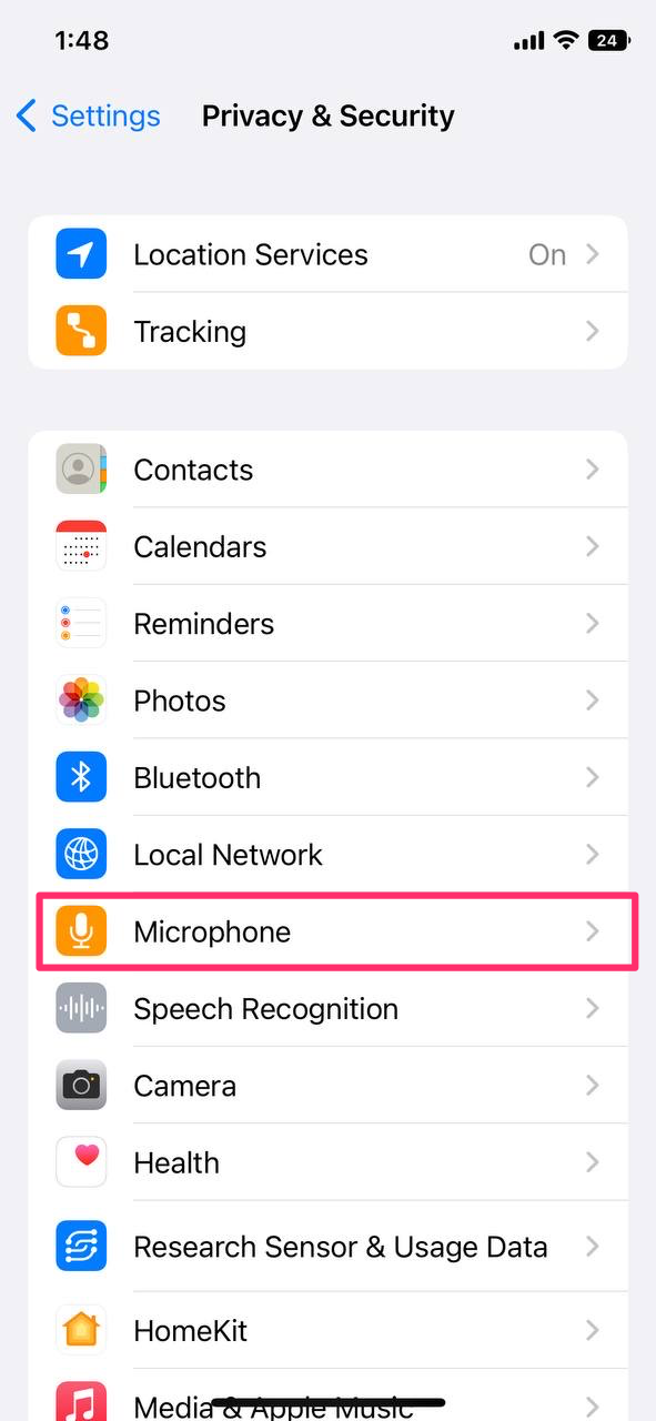 Select "Microphone"