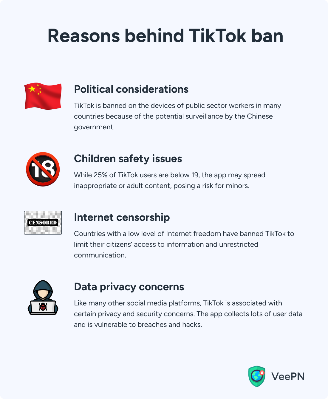 Main reasons behind TikTok bans