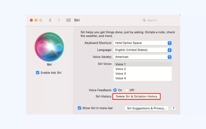 Select "Delete Siri & Dictation History"