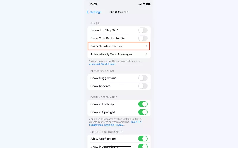 Select "Siri & Dictation History"