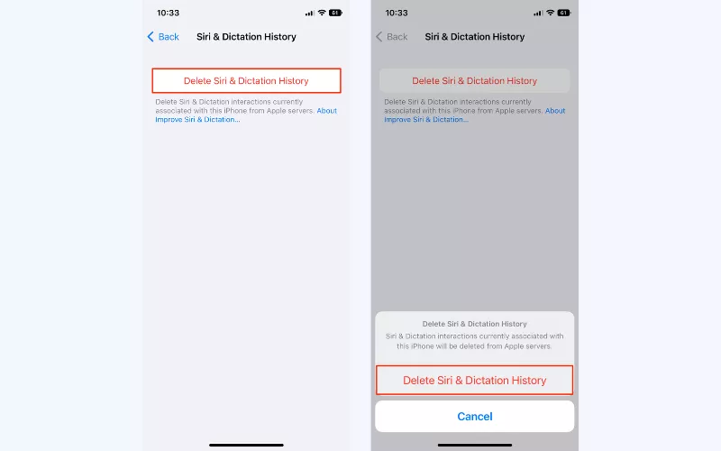 Tap "Delete Siri & Dictation History" and confirm your action