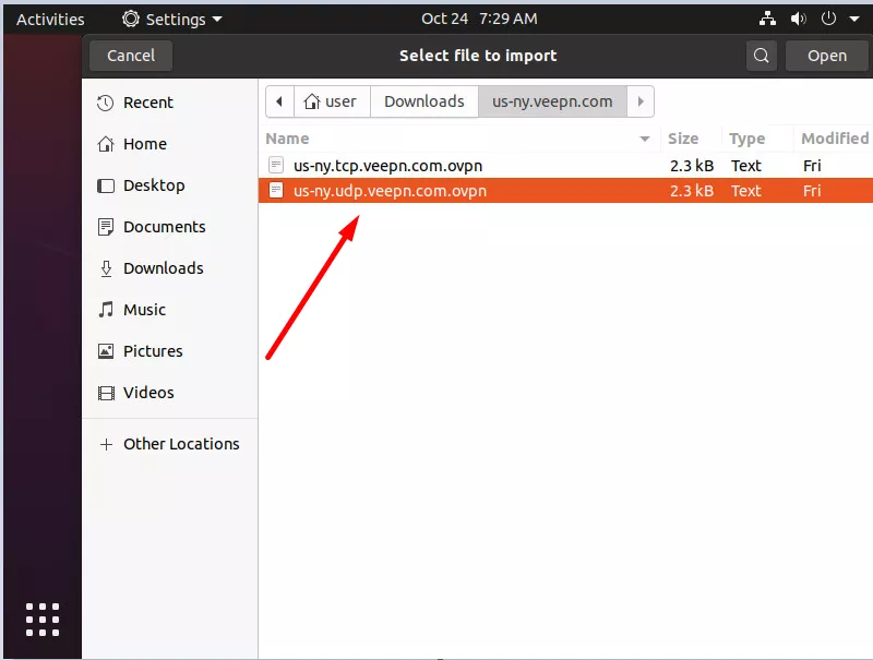 Locate and choose the OpenVPN configuration file you downloaded in Step 1, then press Open.