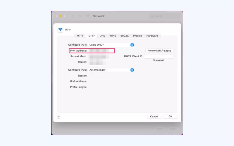 ابحث عن عنوان IP الخاص بك بجوار قسم IPv4