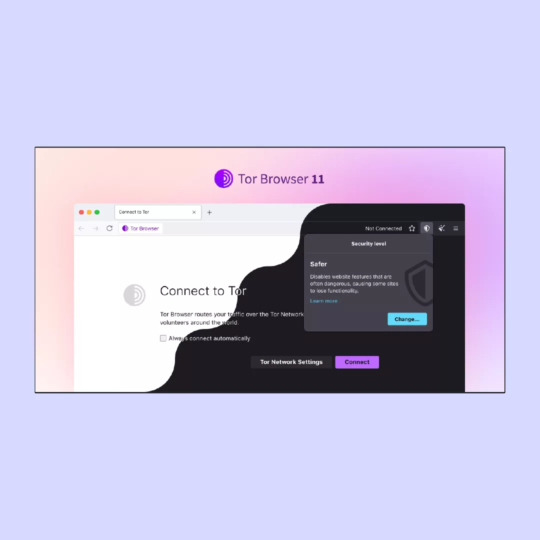 Browser Tor 11