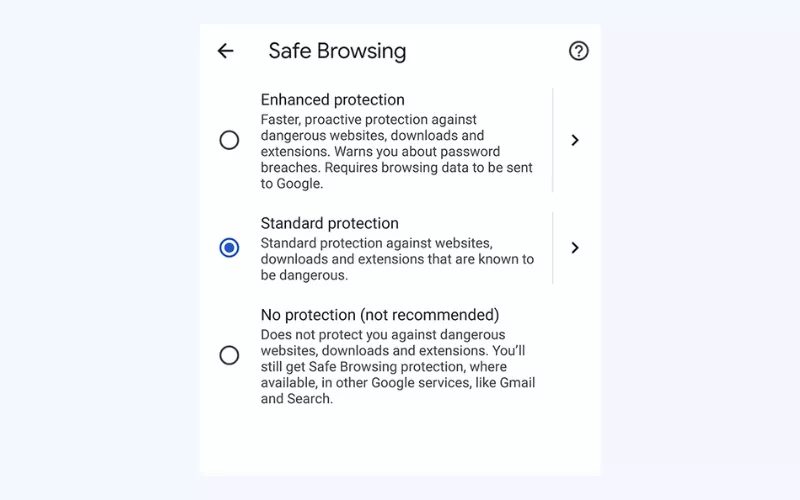 Enable Standard protection in the Safe Browsing settings on Google Chrome