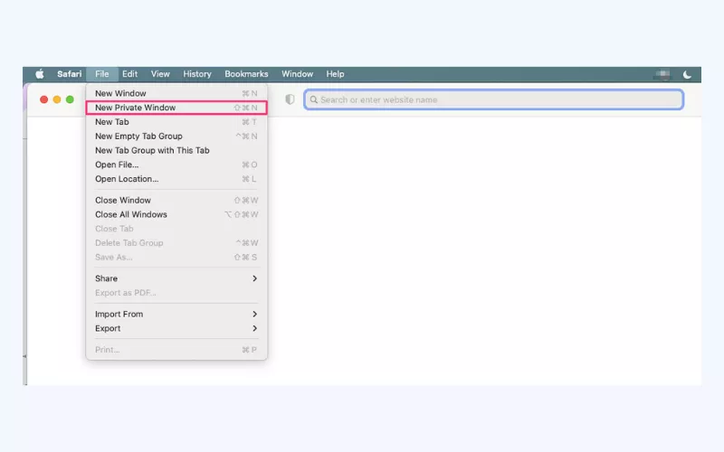 Click "File" > "New Private Window" in the Safari settings