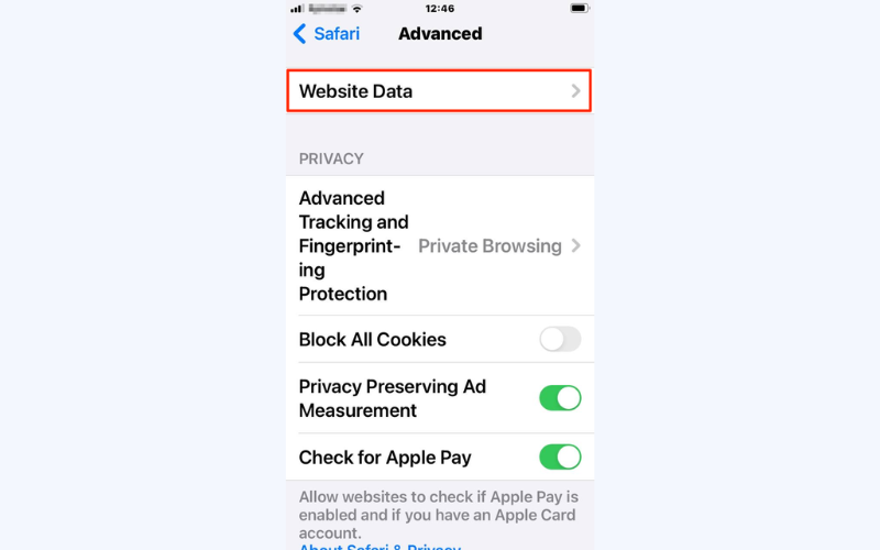 Tap "Website Data"