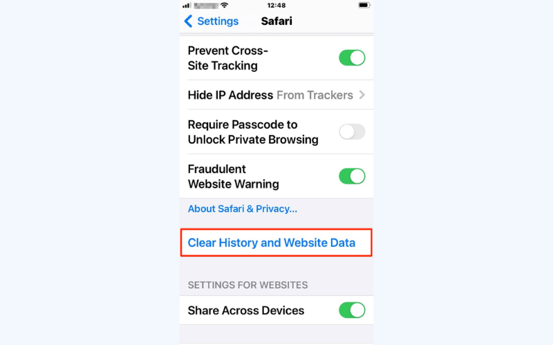 Select "Clear History and Website Data" in Safari settings