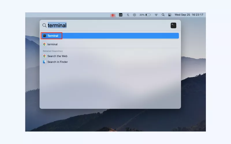 Search for the Terminal app