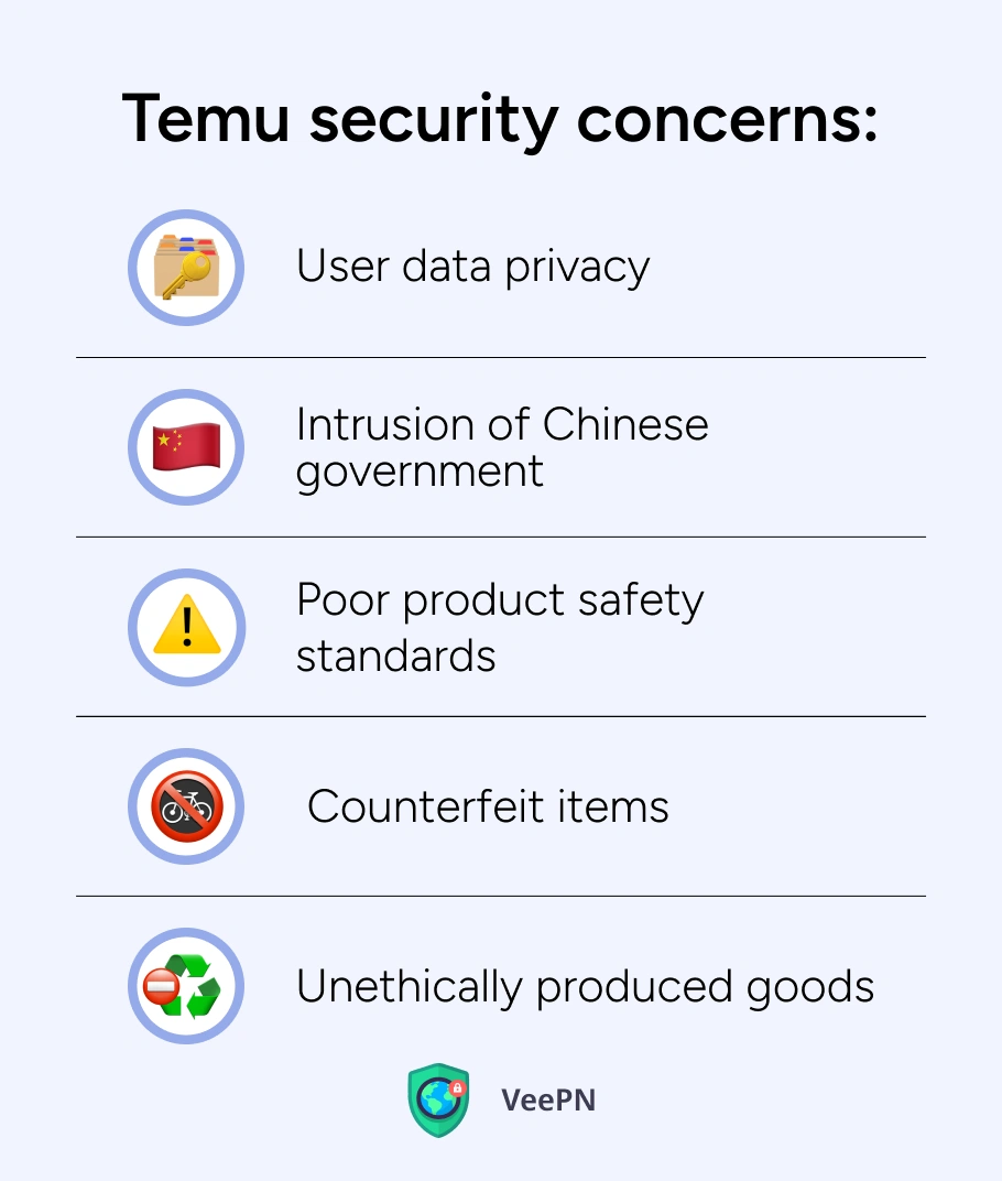 Temu security concerns