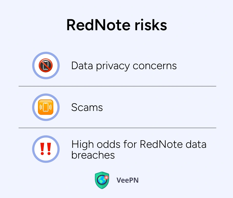 RedNote risks