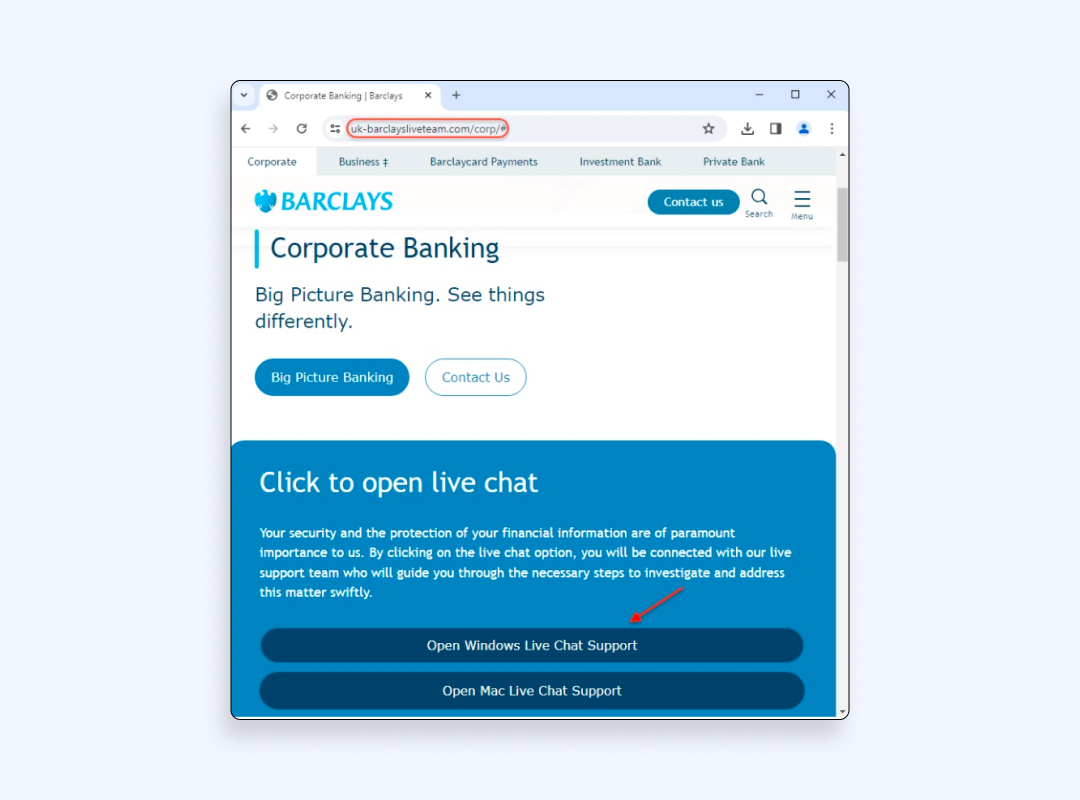 AnyDesk Hackers’ phishing campaigns