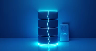 Temu data breach