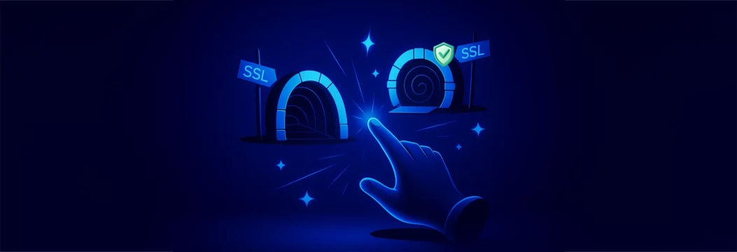 SSL VPN